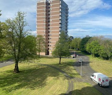3c Beechwood House, Rushpark, Newtownabbey, BT37 9SF - Photo 1