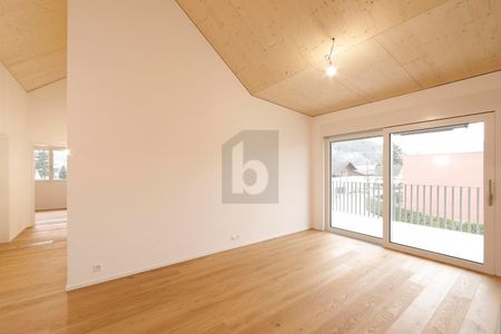 HOCHWERTIGER NEUBAU AN SONNIGER LAGE! - Foto 3