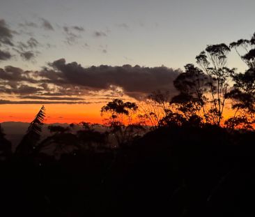 Tamborine Mountain - Photo 1