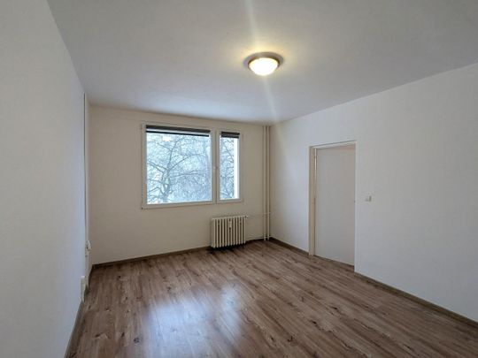Pronájem bytu 1+1 37 m² - Photo 1