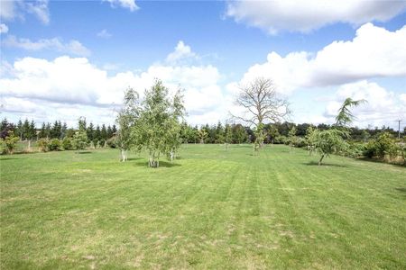 A beautifully converted dairy barn in a quiet rural setting available for *short let*. - Photo 3