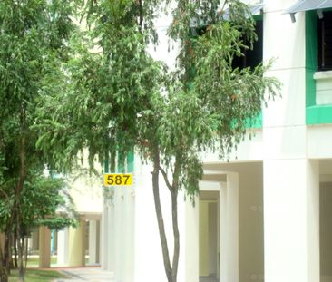 Blk 587 Woodlands Drive 16 (Woodlands), HDB Executive - For Rent - Photo 6