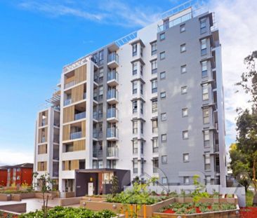 203/15 Flack Avenue HILLSDALE - Photo 5