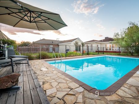 Central, Stunning, Pool + Study - Photo 3