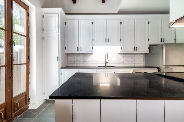 484 Rue St-Louis, Montréal (Ville-Marie), H2Y1A9 - Photo 1