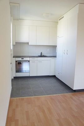 Living near the Aare - Photo 1