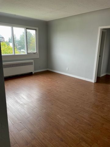 11235-117 Street - Photo 4