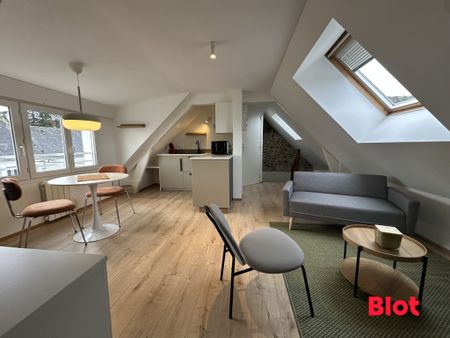 Location Appartement 2 pièces 24m² LANGUIDIC 56440 - Photo 2