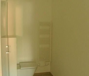 Location Appartement 2 pièces 42m² CALUIRE ET CUIRE 69300 - Photo 1