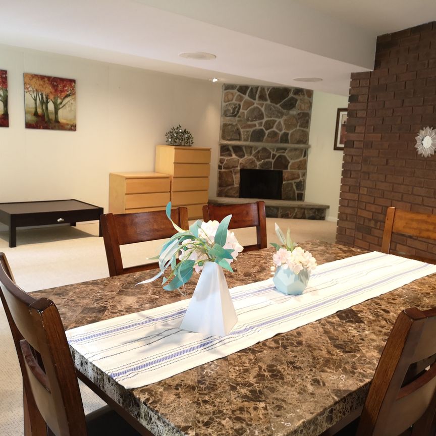 For Lease - 8 Janus Court Unit# Bsmt, Toronto, Ontario - Photo 1