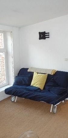 Location Appartement 1 pièce 23m² LILLE 59000 - Photo 2