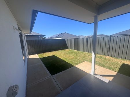 Brand New Four Bedroom Home with Study - Photo 3