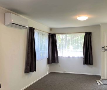 3 Bedrooms on Mataroa Rd - Photo 1