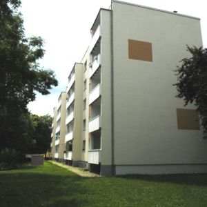 1- Raumwohnung im beliebten Knieper Nord! - Photo 2