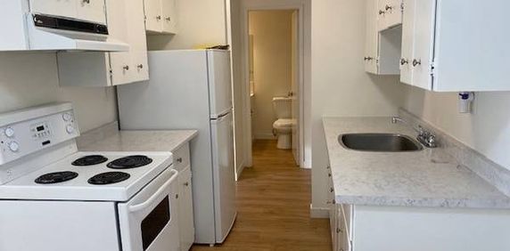 $1600 NEWLY RENOVATED 1BR APARTMENT - Photo 2