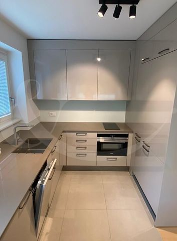 28 Route de Malagnou, large studio located in the heart of the sought-after Malagnou district - Foto 4