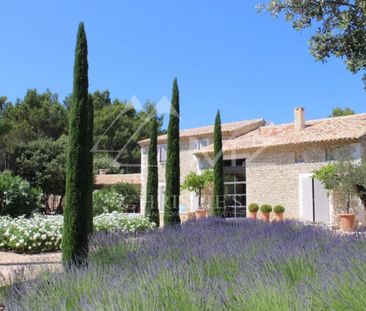 Luberon - Superbe mas contemporain - Photo 1
