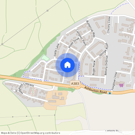 Dandelion Place, Newton Abbot