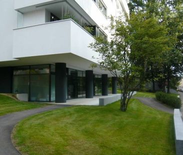 Zwischen Hallenbad und Birsig - schöne 3-Zimmer-Wohnung in Binningen - Foto 6