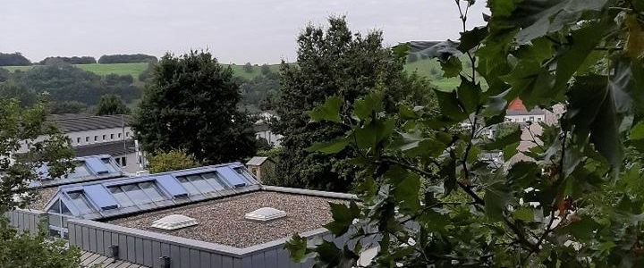 Die passende Wohnung von VIVAWEST mit Wohnberechtigungsschein. - Foto 1