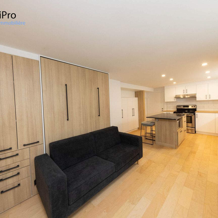 310 Père-Marquette - Photo 1