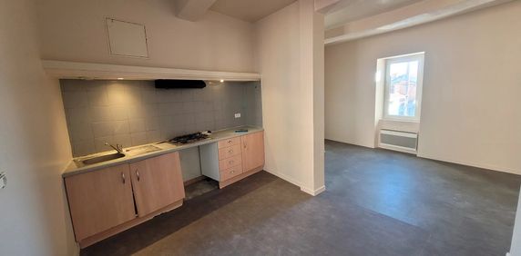 Location Appartement 1 pièce 30m² PERTUIS 84120 - Photo 2