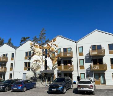 Taggsvampsvägen, Nykvarn - Photo 3