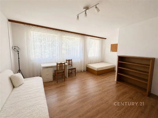 Pronájem bytu 3+1+2xhala+lodžie, Sartoriova, 121 m - Fotografie 1