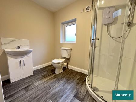 23b Killyman Street - Photo 5