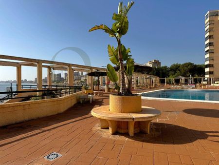 2 room luxury Apartment for rent in El Campello, Spain - Photo 4