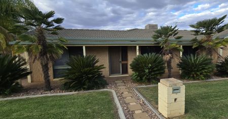 2 Melrose Drive, Mildura - Photo 2
