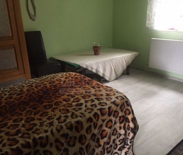 Parter Vila, Valea Lupului - Photo 6