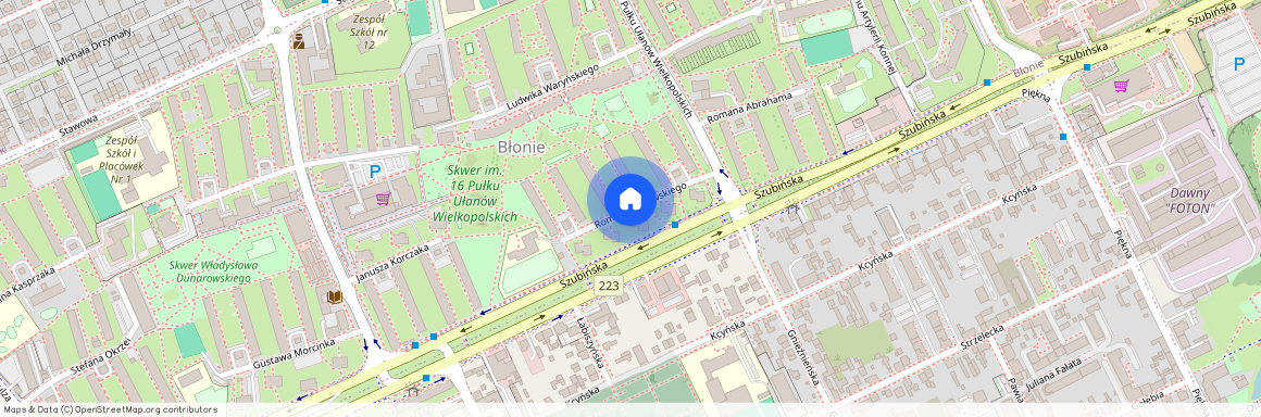 ul. Romana Dmowskiego, Bydgoszcz, Błonie