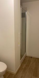 Location Appartement 1 pièce 30m² TOURS 37100 - Photo 3