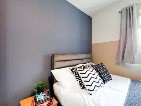 3.1 Eglantine Avenue, Belfast, BT9 6DW - Photo 4