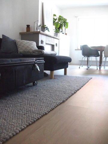 Totaalgerenoveerd appartement : geen algemene kosten - Foto 2