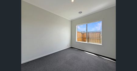 Available Now! - Photo 2