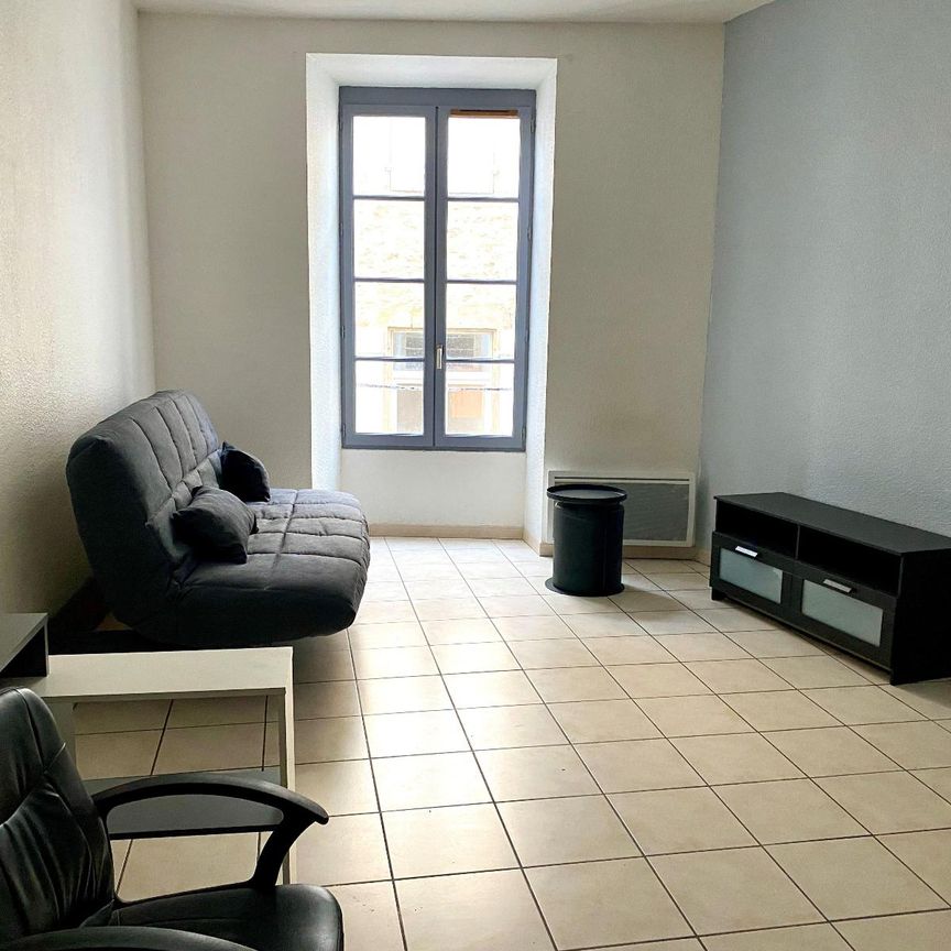 Location Appartement 1 pièce 29m² AUBENAS 07200 - Photo 1