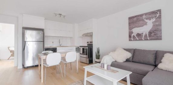 3 ½ entièrement meublé à louer Sainte-Foy / Sillery juillet 2026 - Photo 2