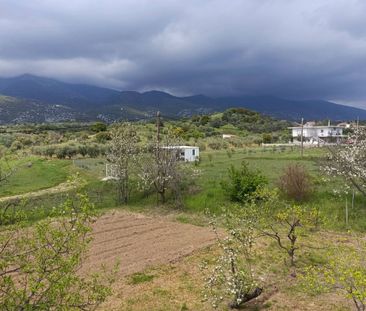 Μονοκατοικία για ενοικίαση Τοξότες (Τοπείρο) - Photo 2