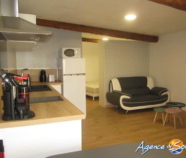 Location Appartement 1 pièce 28m² LA PALME 11480 - Photo 2