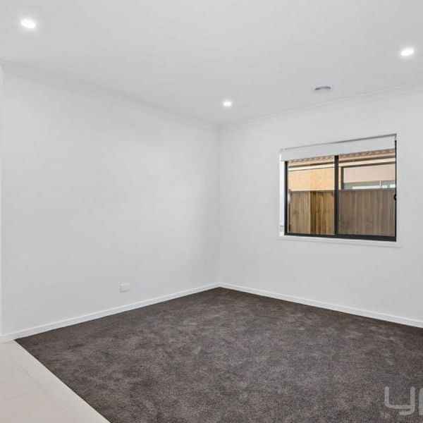 1 Woodlet Street, WEIR VIEWS - Photo 1