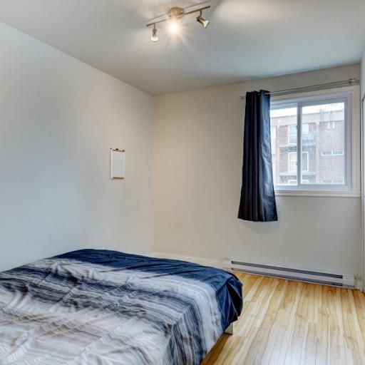 Appartement 4 ½ à louer Lévis novembre 2025 - Photo 1