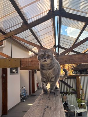 Marrickville - Photo 1