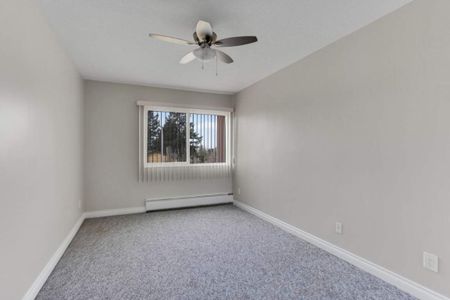 1 Bedroom - Photo 4