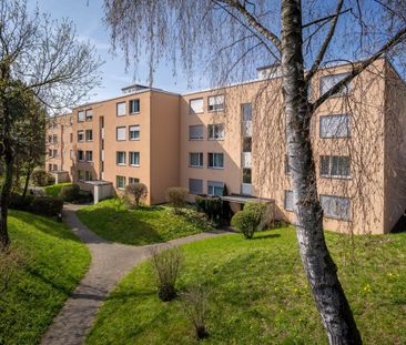 Rent a 3 ½ rooms apartment in Uster - Photo 3