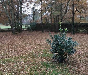 Location Maison 5 pièces 132m² ST SULPICE ET CAMEYRAC 33450 - Photo 1