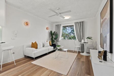 Renovated Top-Floor Apartment with Leafy Outlook & Oversized Garage - Photo 4