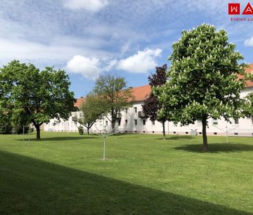 Ein Zuhause zum Ankommen und Wohlfühlen: gemütliche 3-Zimmer-Erdges... - Photo 6