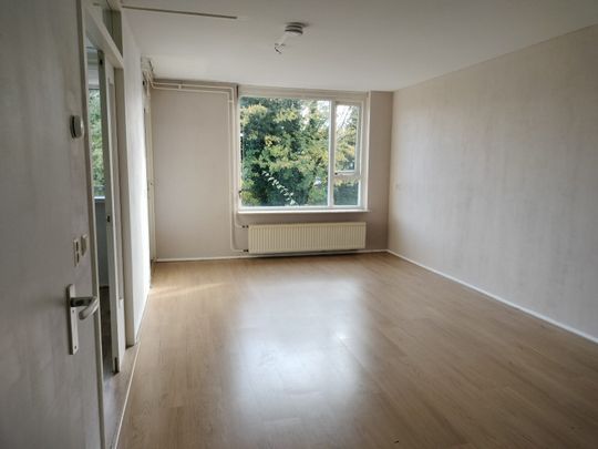 Beethovenlaan 3-41 - Photo 1